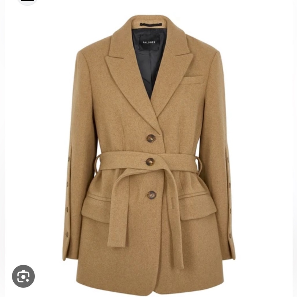ISO Palones Scarlett Boyfriend Blazer